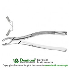 American Pattern Tooth Extracting Forcep Fig. 151AS (For Lower Incisors, Canines, Premolars and Roots; Split Beaks) Stainless Steel, Standard